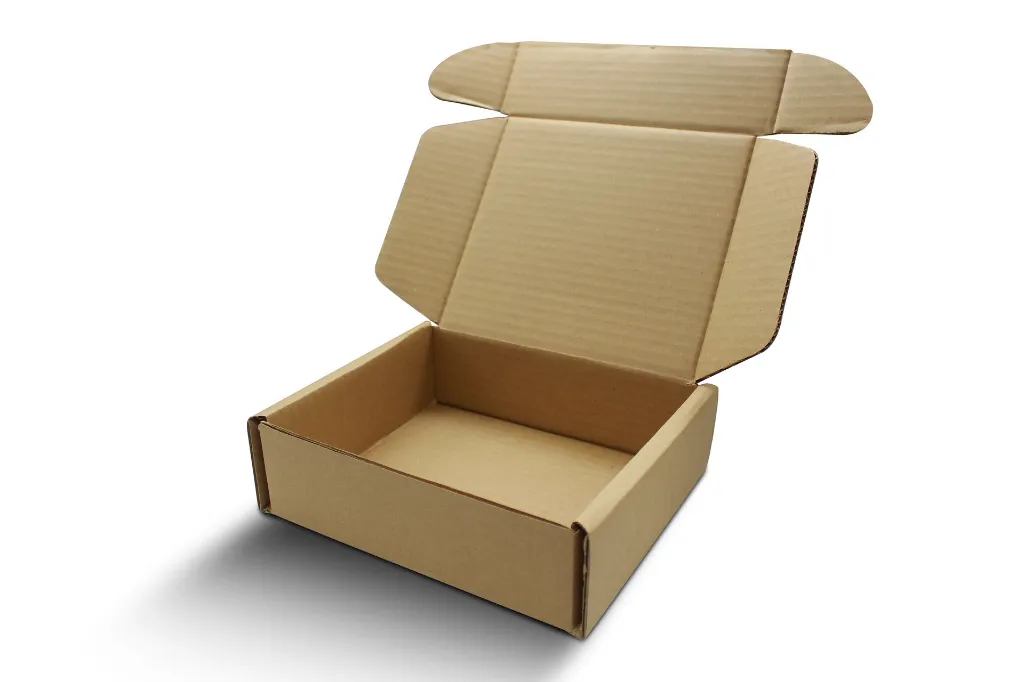 Caja_De_Carton_Pizzita_3.webp