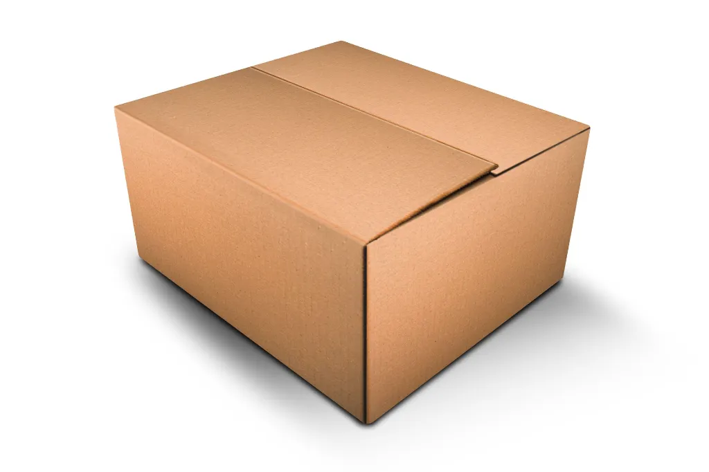 PAQ20-MECAJA2411 (3).webp