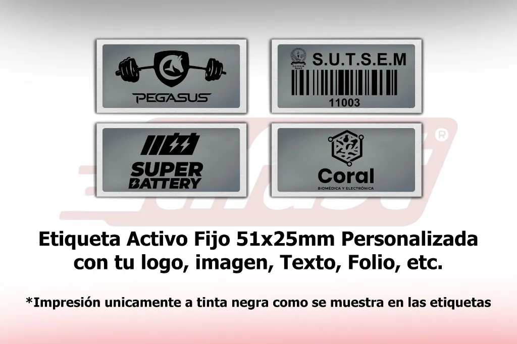 Etiqueta_51x25_Activo_Fijo_Poliester_Plata_Descripción_051025PL011P0000C1G1K0.webp