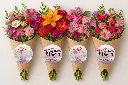 DÍA-DE-LA-MADRE_7.webp